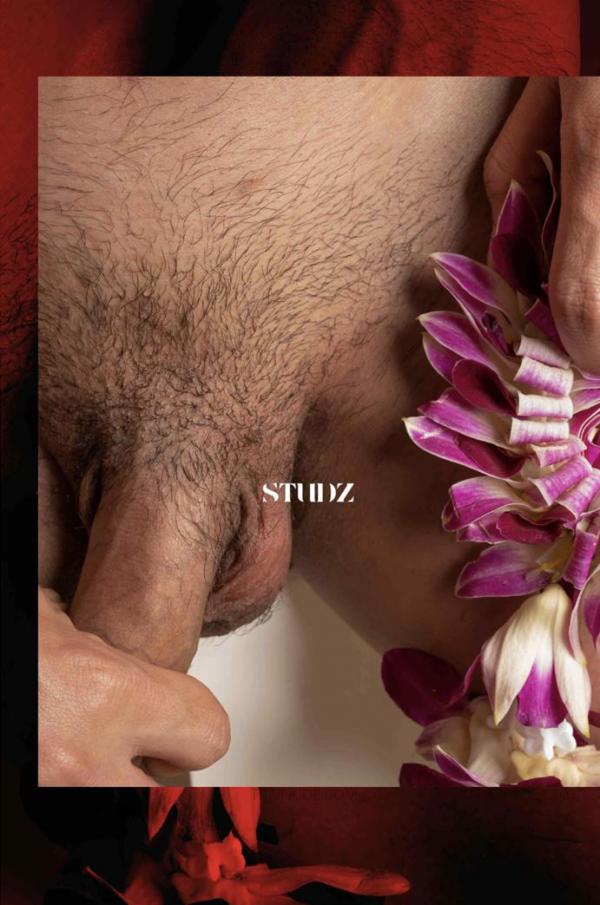 STUDZ-01--Zesty--Ebook--Video-